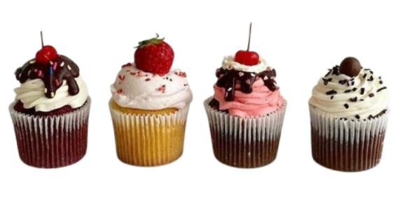 Cupcake icon